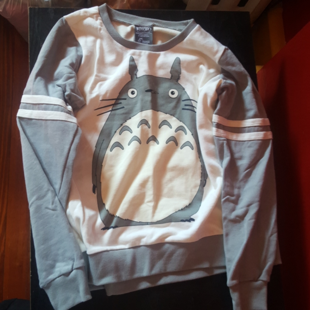Totoro Sweater
